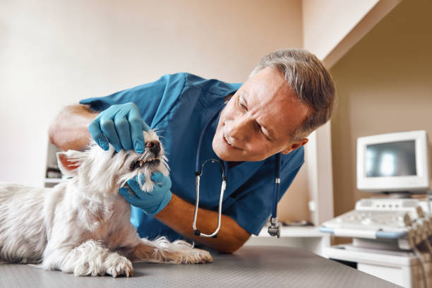 Best Weekend Emergency Dentist in Jamaica Beach, TX